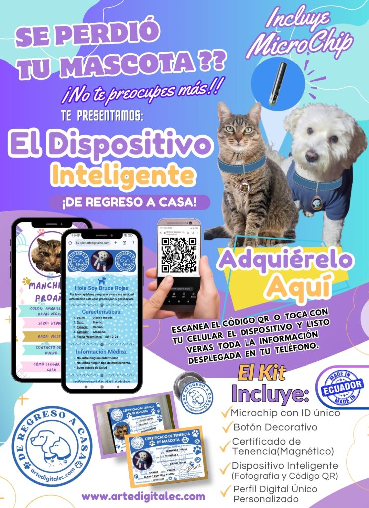 De regreso a Casa ARTE DIGITAL